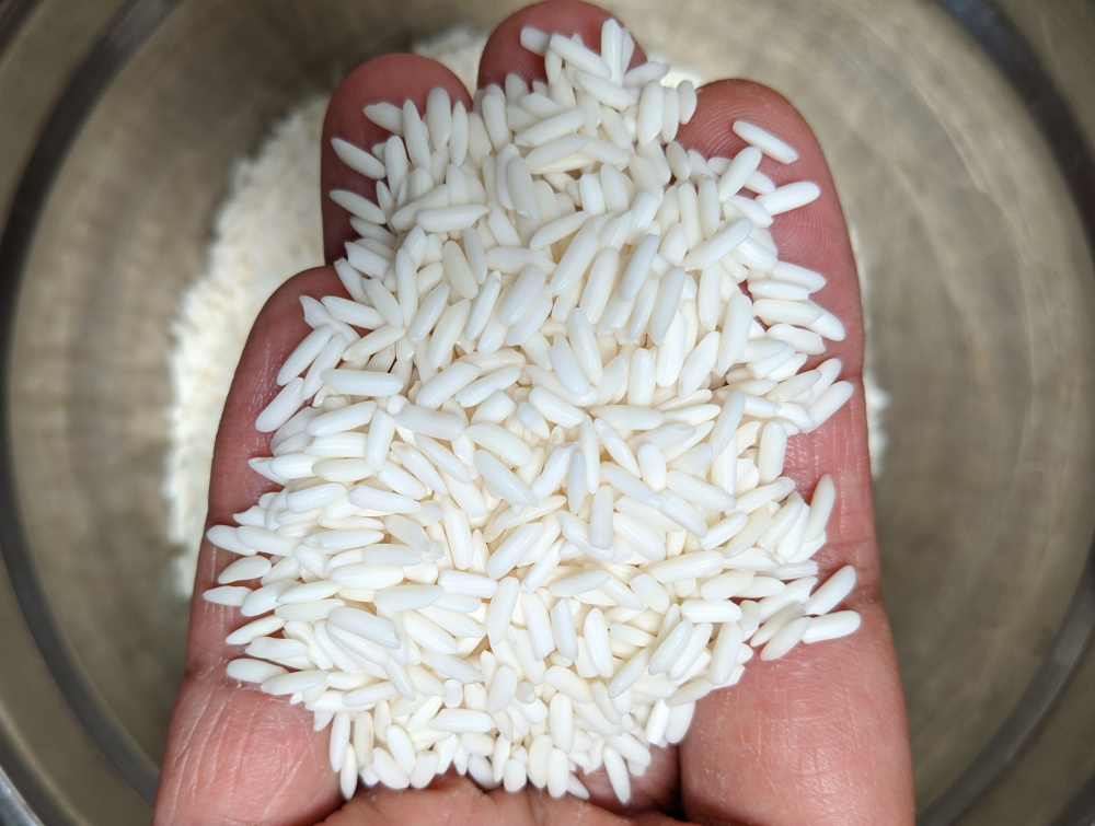 sticky rice grains