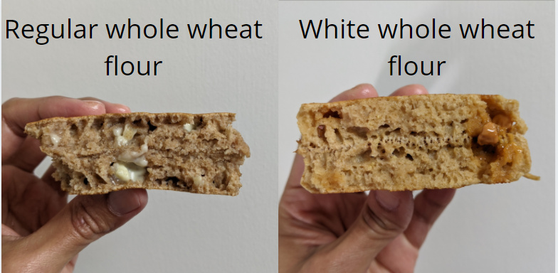 texture comparison between white whole wheat and regular whole wheat pancakes